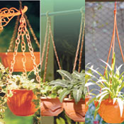 Hanging Planters